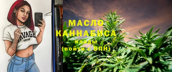 индика Абдулино