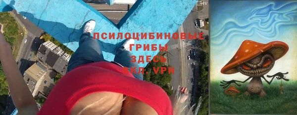 индика Абдулино