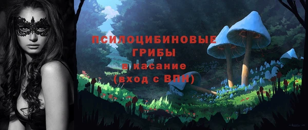 индика Абдулино