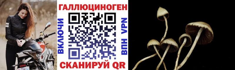 Галлюциногенные грибы ЛСД  дарнет шоп  Тотьма 